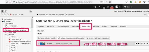 Headerbild für ein Serviceportal "Tauschen"