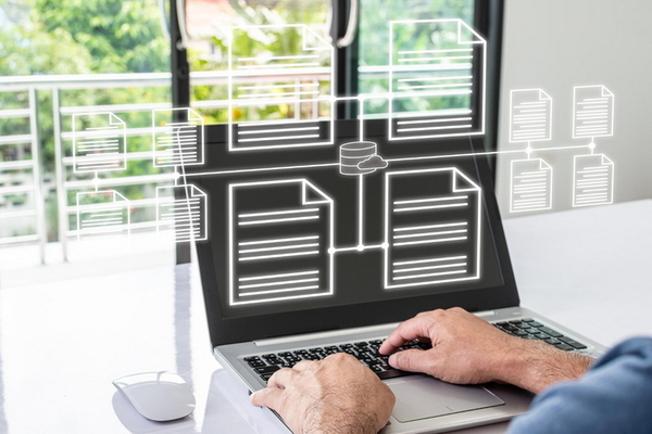 Wibisoft - Datenbank > Entwicklung, Funktionskontrolle Wibisoft - Datenbank > Entwicklung, Funktionskontrolle