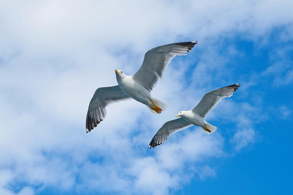 Gedanklich in den Himmel erheben und die Gedanken kreativ und visionär schweben lassen