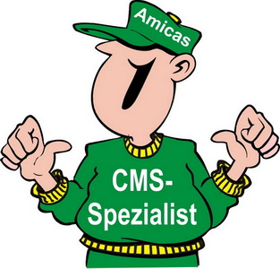 Amicas Online IT-Team "CMS-Spezialist" 